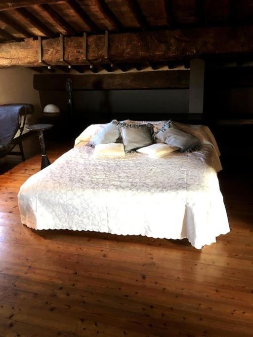 Romantic Studio In The Historical Heart Of Padova Pádua Exterior foto